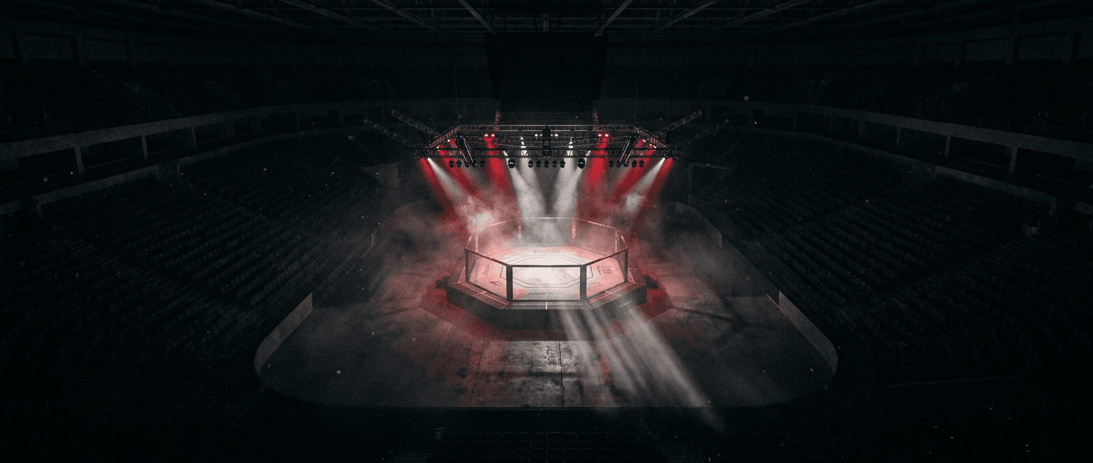 Panoramic arena art